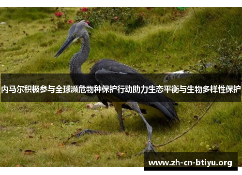 内马尔积极参与全球濒危物种保护行动助力生态平衡与生物多样性保护