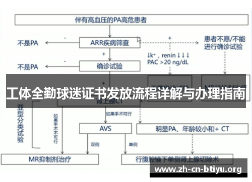 工体全勤球迷证书发放流程详解与办理指南