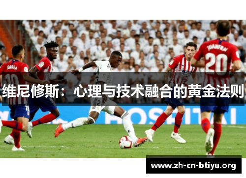 维尼修斯：心理与技术融合的黄金法则