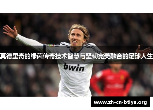莫德里奇的绿茵传奇技术智慧与坚韧完美融合的足球人生