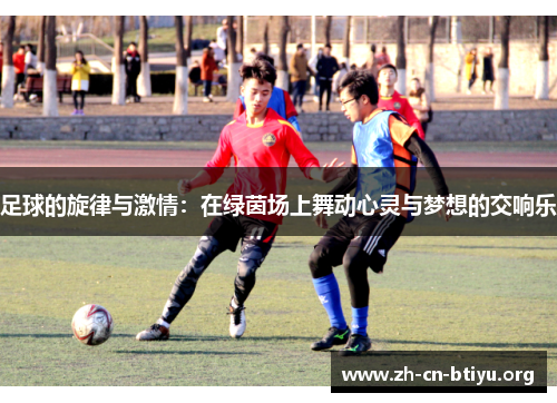 足球的旋律与激情：在绿茵场上舞动心灵与梦想的交响乐